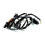 Oxygen Sensor (Rear)